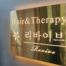 리바이브헤어(Revive hair)