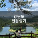 영진목장 | 돌쟁이 아기와 함께 떠난 강원도한달살기 숙소 강릉 사이다하우스 내돈내산 후기