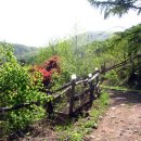 생각나무자연학교 이미지