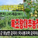 회인농장 이미지