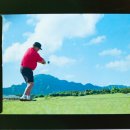 앤스크린골프 이미지