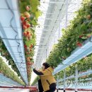 이규태농장 이미지