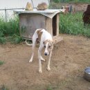 주식회사 해마루 이미지