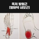 이수민에스테딕
