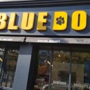 블루독 애견샵 이미지