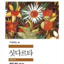 싯다르타 - 헤르만 헤세 이미지