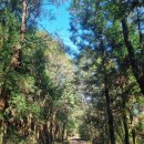 구지로R | R.7 - 제주 스냅촬영 (스튜디오) 그곁에 &amp; (메이크업) 커맨드유