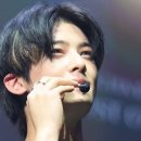 "전부 내 잘못" 차은우, 역대급 '200억' 추징금 전액 납부 이미지