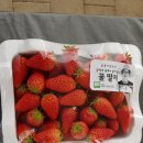 들꽃가람 이미지