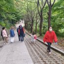 봉래식당 이미지