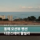 푸드스테이 | 동해 숙소 다온스테이 갈대동 묵호 풀빌라 내돈내산 후기
