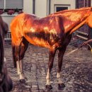 새한고시텔 이미지