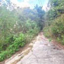 사기막 농장 이미지