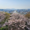 죽도봉공원 이미지