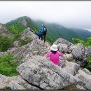 그때그자리 이미지