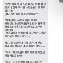 김군아미고 민박 이미지