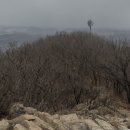 민주댕이 이미지