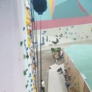 나무늘보 순천점 | 순천 원클라임 / 전남 클라이밍 체험