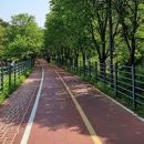 북한강 자전거도로3 이미지