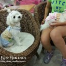 엘리하우스 이미지