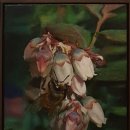 평화프라자 이미지