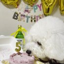 댕스기빙데이 이미지