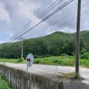 여주-0829 Daum카페