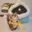 냐옹펫 | 시흥고양이펫샵 방문🐱 딸랑이랑 같이 다녀온 솔직 후기💛