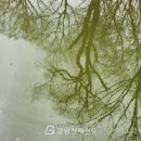 칸타빌레 이미지