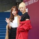 유정담배