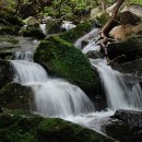 자연과 나 이미지