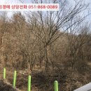 지방도905호선1 네이버블로그