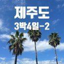 중문농업협동조합 | 제주도 3박4일 커플 여행 코스 총 정리_2일차(카멜리아힐/중문승마공원/헤이서귀포/발랄한맥주)