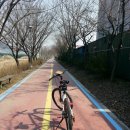 청주야구장 이미지