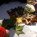 신성초등학교 이미지