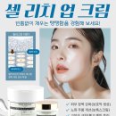 셀리치