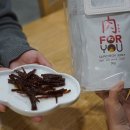 필수 먹거리 삼척에서만 맛볼 수 있는 육포유, 왕마늘 고추장 육포 후기 삼척 가볼만한곳 피에이치세븐티