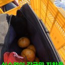 좋은산행