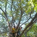 한천농장 이미지