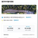 홍천 더캠핑타운마이밸리 캠핑장 13 차박 후기