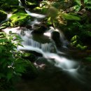 계곡의아침 이미지