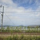 김봉태농장 | 뚜벅뚜벅 대전 홀로 여행기☆٩(｡•ω<｡)و