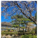 더부엉이독학재수학원 | 자기주도 학습과 생활관리 완비 독학재수학원 후기