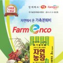 팜엔코