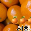 대림청과 - 서대문구 영천시장길 8 | 대림청과
