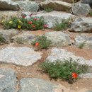 힐링황토집 이미지