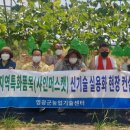 샤인컨설팅 이미지