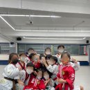 정진 MBA 태권도장 네이버블로그