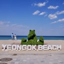 솔향기가득한집 | 휴식의 평화 강릉여행 _ 연곡해변 ( 솔향기캠핑장 , 선교장 , 해안미식 , 만석닭강정 안목직영점 )
