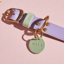 Luxury Dog 이미지